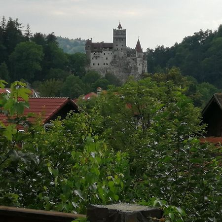 Pensiunea Transilvania Lodge Bran  Eksteriør billede